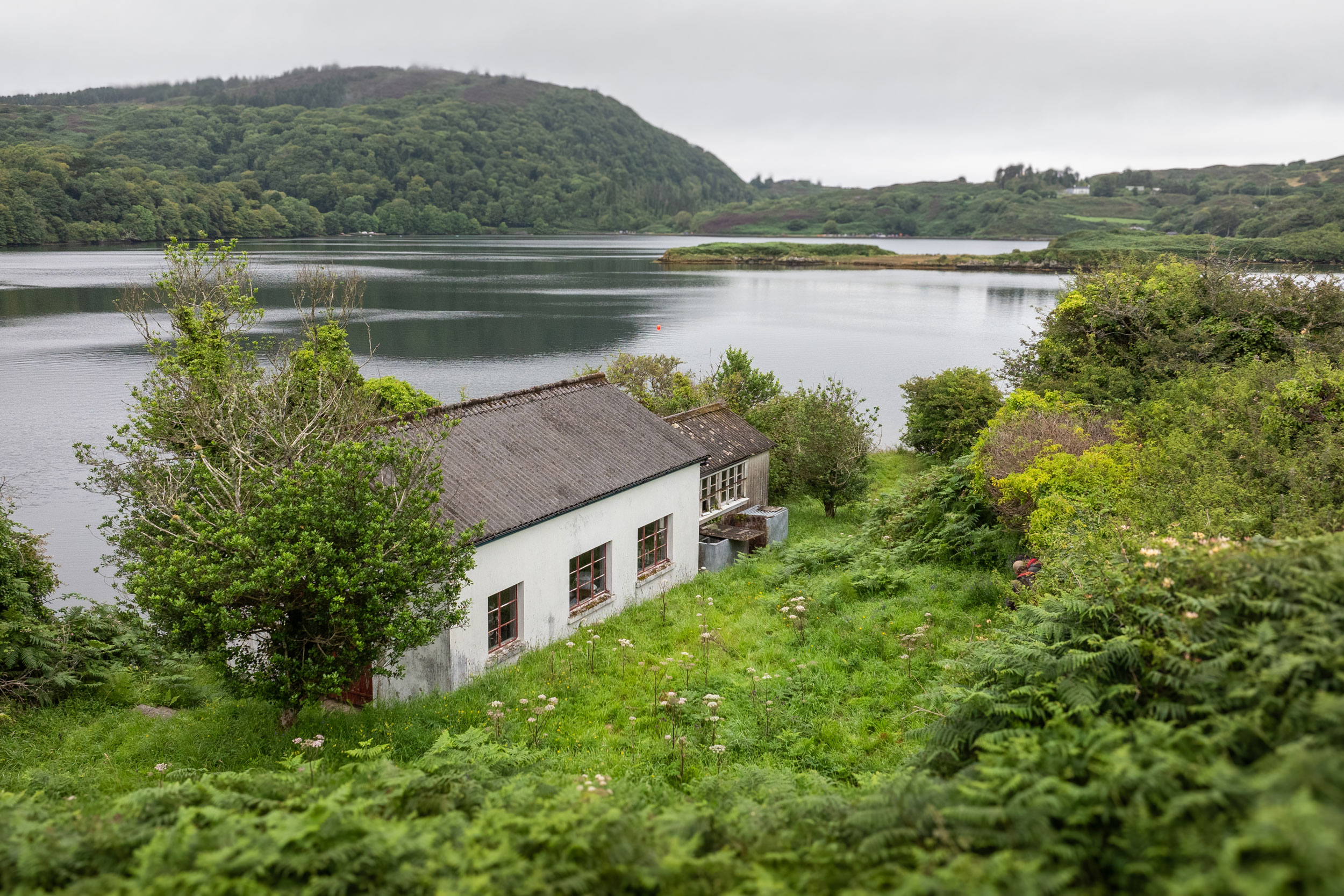 Water resources, Natural landscape, Plant, Sky, Cloud, Building, House, Window, Tree
