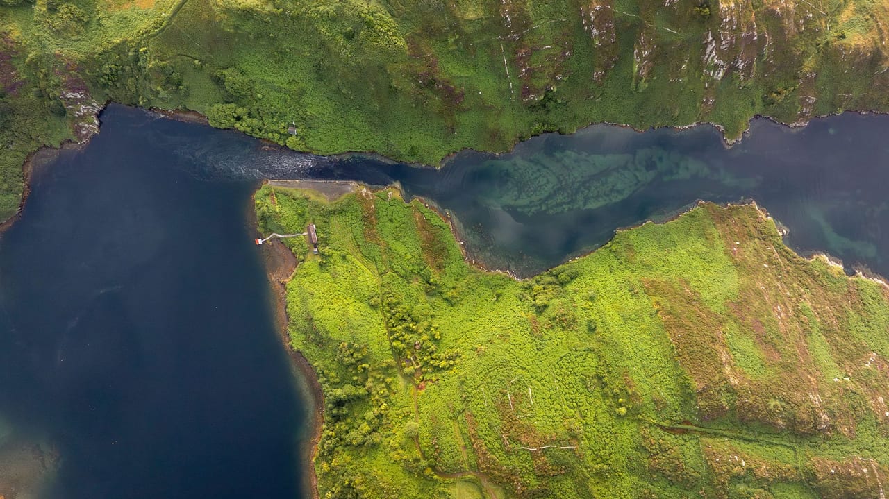 Fluvial landforms of streams, Body of water, Natural environment, Ecoregion, World, Vegetation, Watercourse